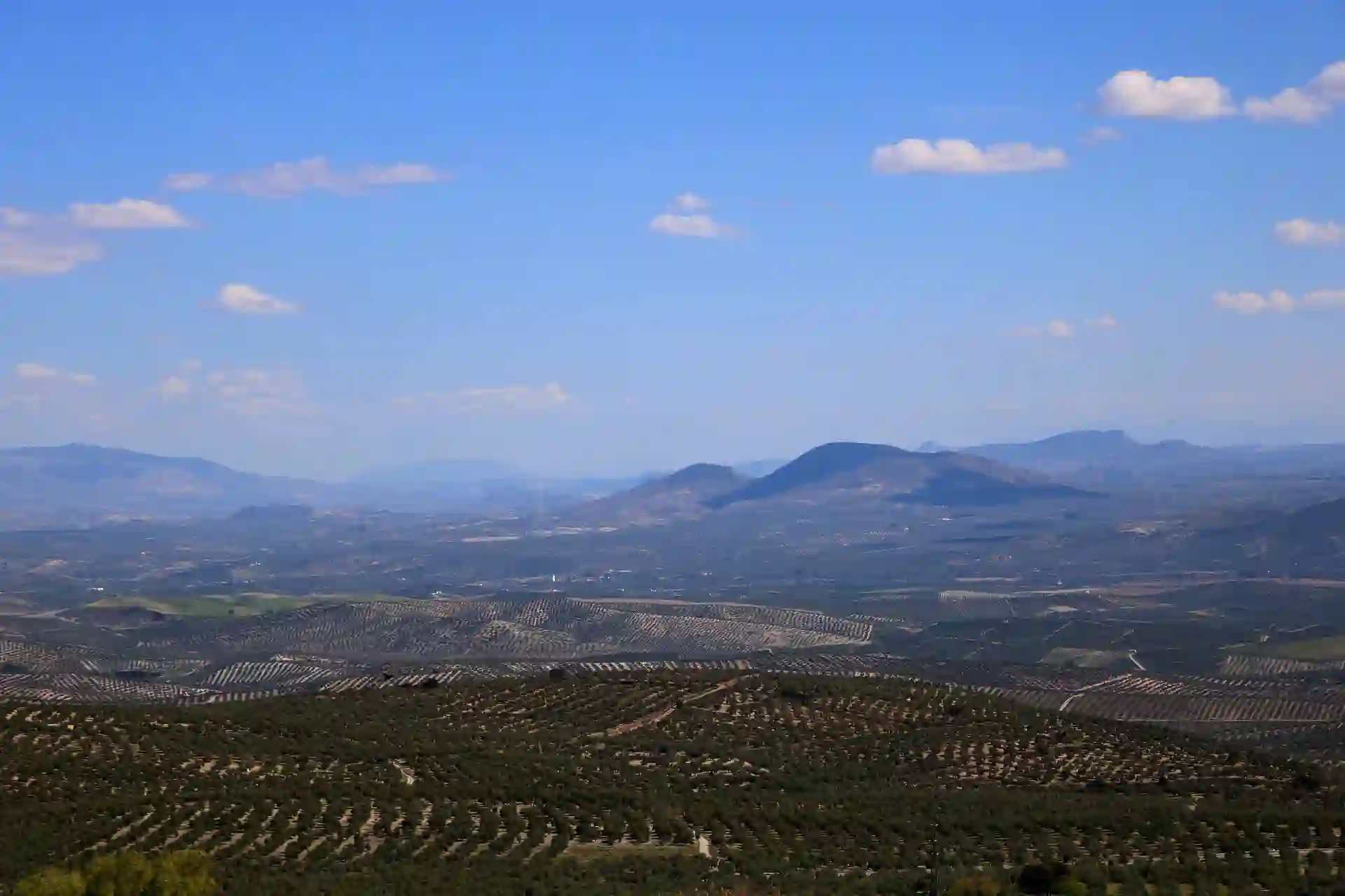 asaja castilla y leon