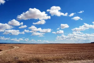 ayudas sequía Castilla y León