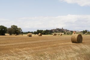 castilla y león, ayuda autónomos, rural,