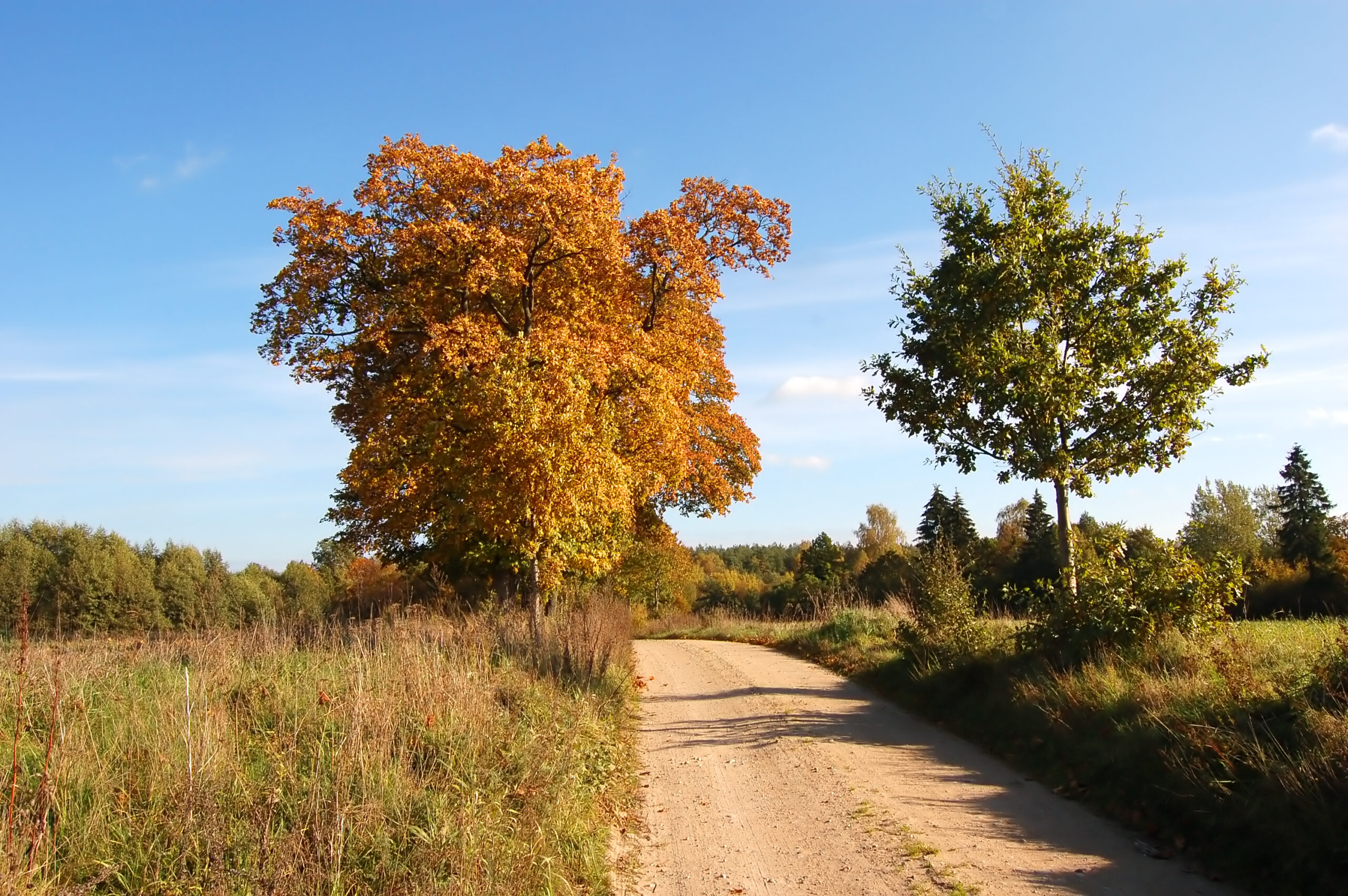 Castilla y León en otoño