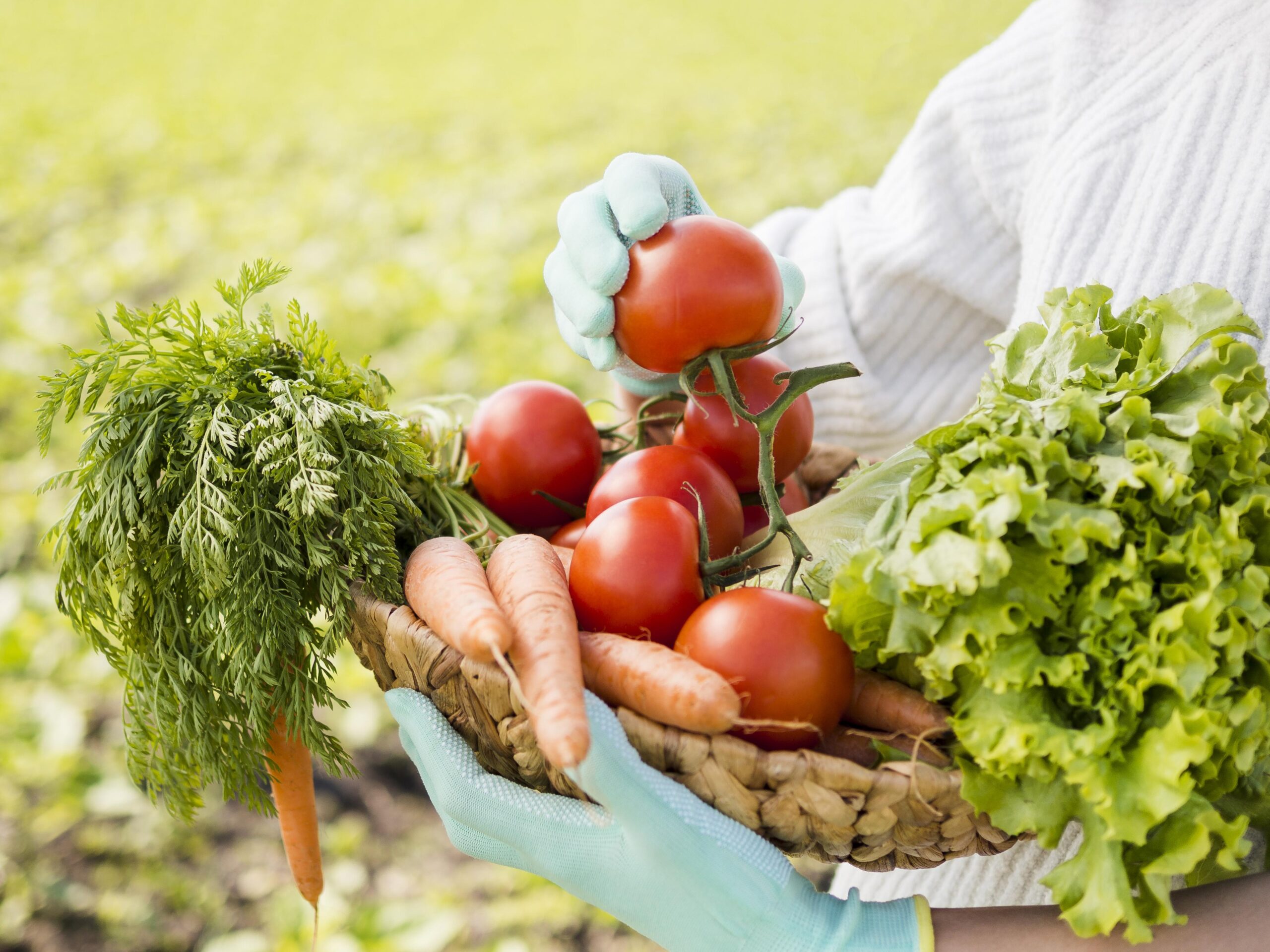 Investigación y desarrollo agroalimentario