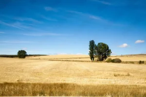 Pueblos con encanto en Castilla