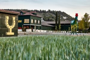enoturismo ribera del duero