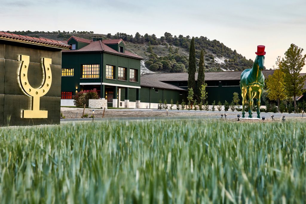 enoturismo ribera del duero