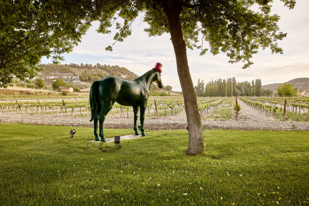 enoturismo ribera del duero